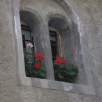 La Via della Castagna